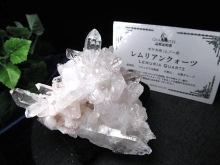 レムリアンシードクリスタル レムリアンリッジ クラスター レムリアン コロンビア産