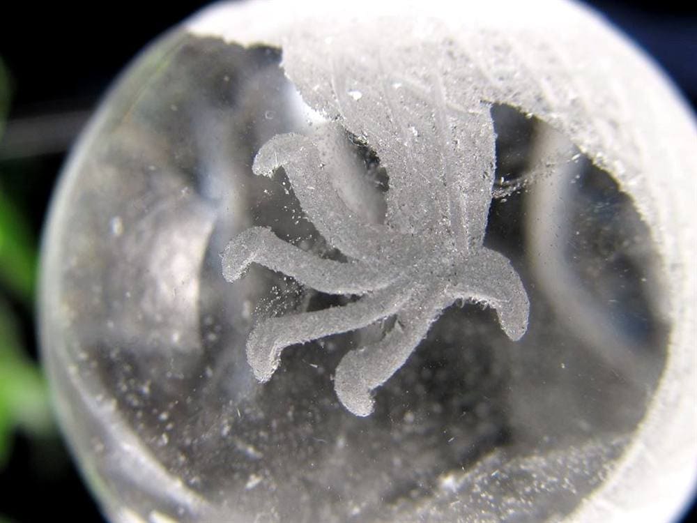 五本爪 龍彫り 水晶 丸玉 開運大吉