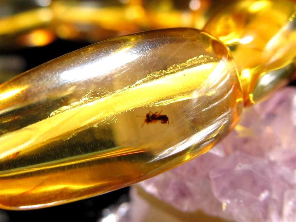 アンバー 琥珀 ブレスレット 虫入りアンバー 化石