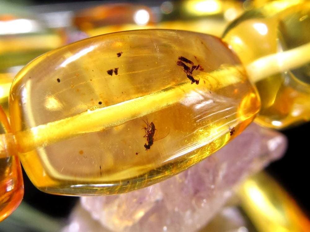 アンバー 琥珀 ブレスレット 虫入りアンバー 化石