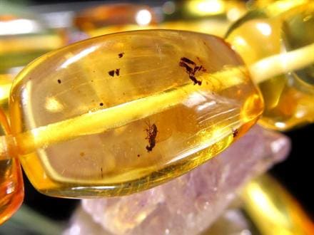 アンバー 琥珀 ブレスレット 虫入りアンバー 化石