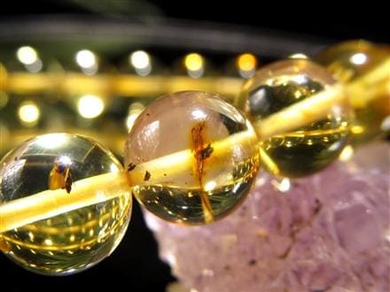アンバー 琥珀 虫入り琥珀 ブレスレット 虫入りアンバー 化石