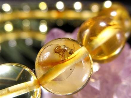 アンバー 琥珀 虫入り琥珀 ブレスレット 虫入りアンバー 化石