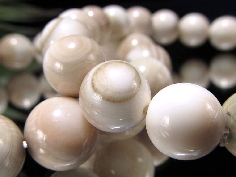 エンジラ 化石 巻貝 ブレスレット えんじら