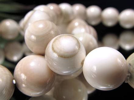 エンジラ 化石 巻貝 ブレスレット えんじら