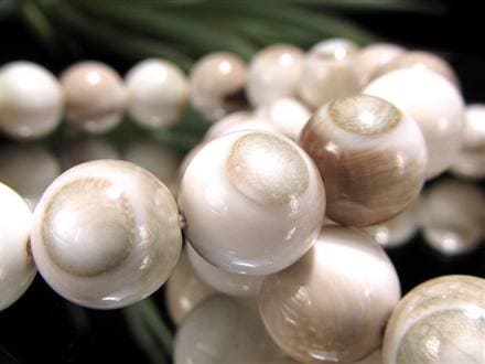 エンジラ 化石 巻貝 ブレスレット えんじら