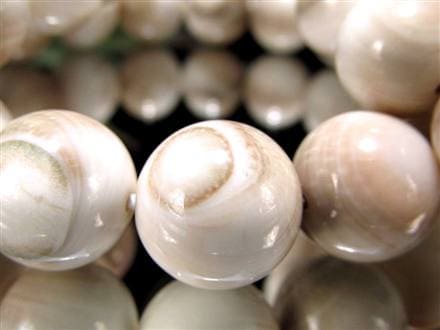 エンジラ 化石 巻貝 ブレスレット えんじら