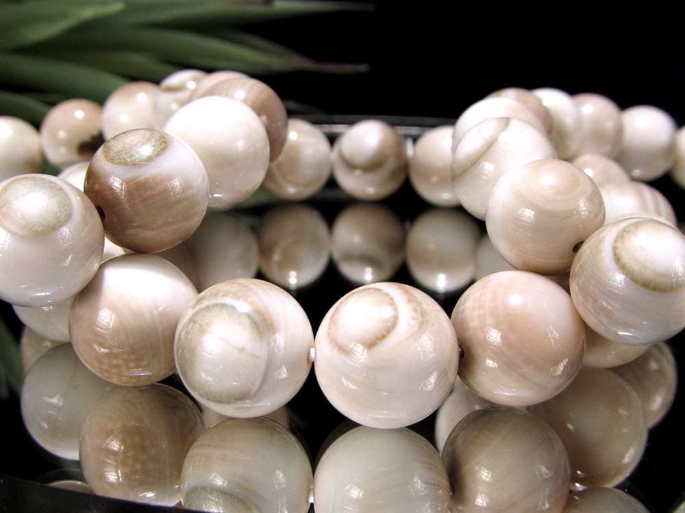 エンジラ 化石 巻貝 ブレスレット えんじら