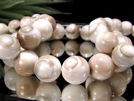 エンジラ 化石 巻貝 ブレスレット えんじら