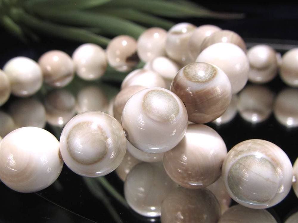 エンジラ 化石 巻貝 ブレスレット えんじら