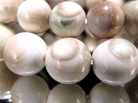 エンジラ 化石 巻貝 ブレスレット えんじら