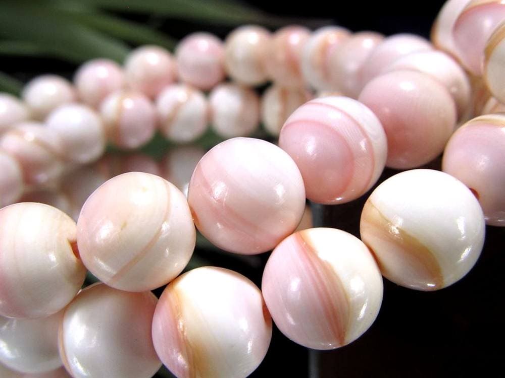 ピーチシェル クイーンコンクシェル ブレスレット コンクパール ピンクガイ