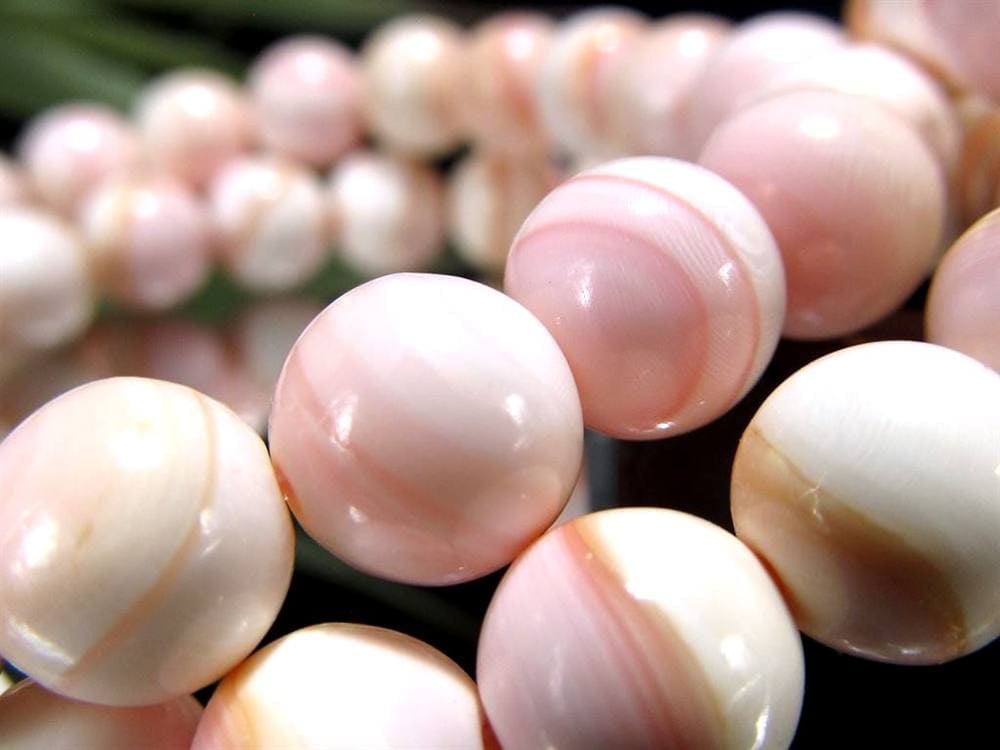 ピーチシェル クイーンコンクシェル ブレスレット コンクパール ピンクガイ