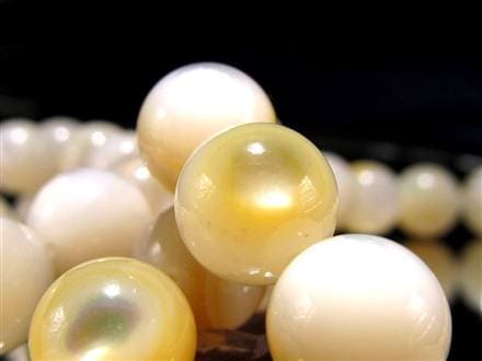 ゴールドリップシェル 白蝶貝 ブレスレット 黄蝶貝 ピンクガイ