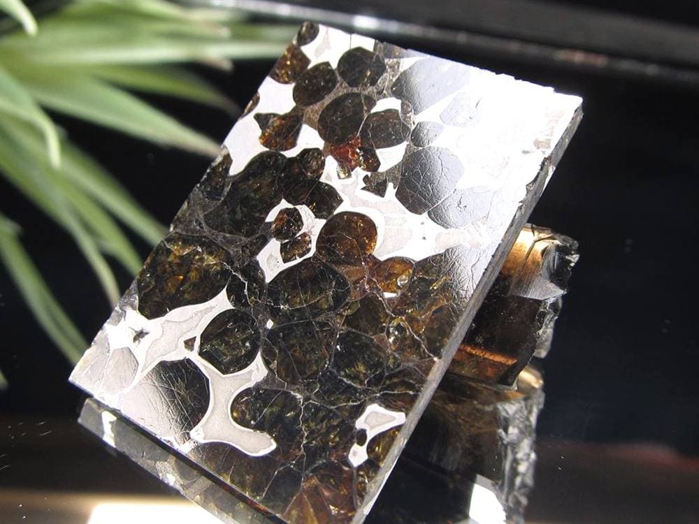 セリコ隕石 パラサイト隕石 プレート SERICHO 石鉄隕石