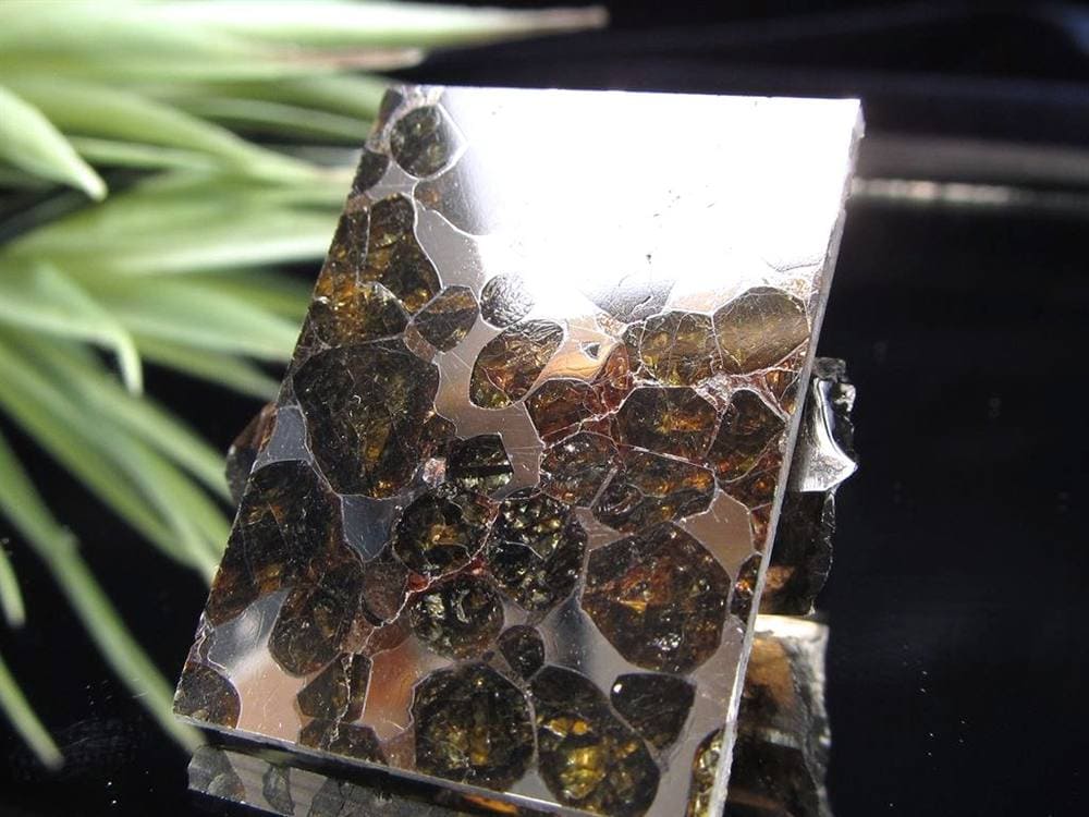 セリコ隕石 パラサイト隕石 プレート SERICHO 石鉄隕石