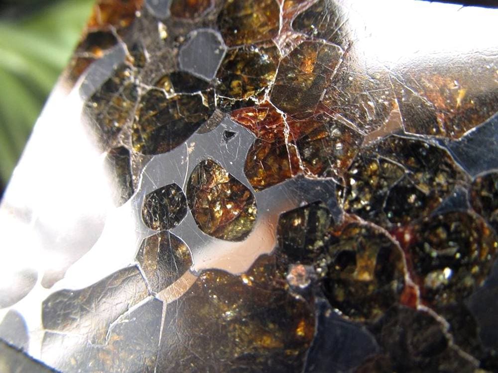 セリコ隕石 パラサイト隕石 プレート SERICHO 石鉄隕石