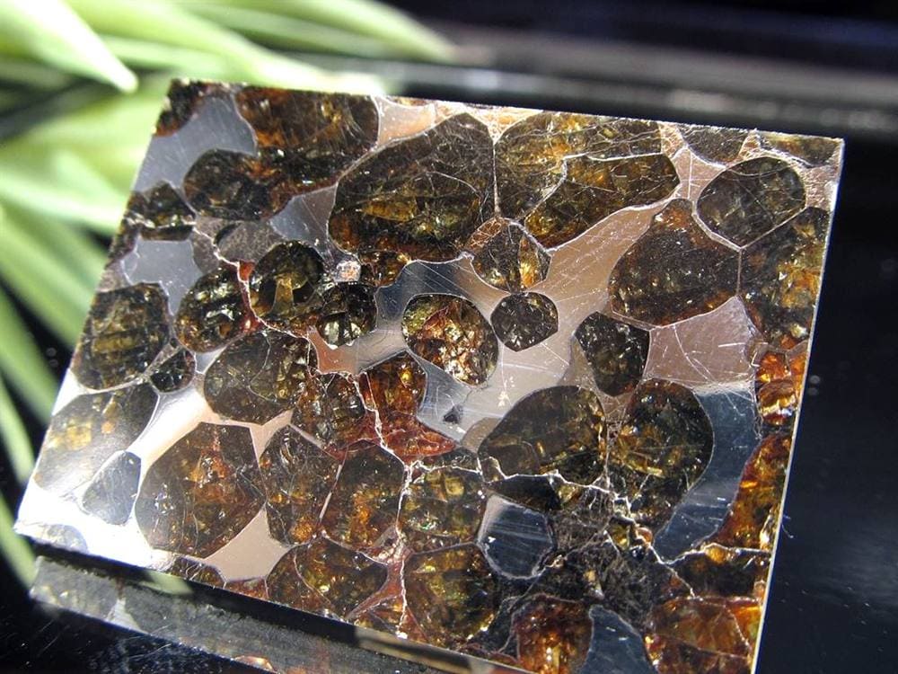 セリコ隕石 パラサイト隕石 プレート SERICHO 石鉄隕石