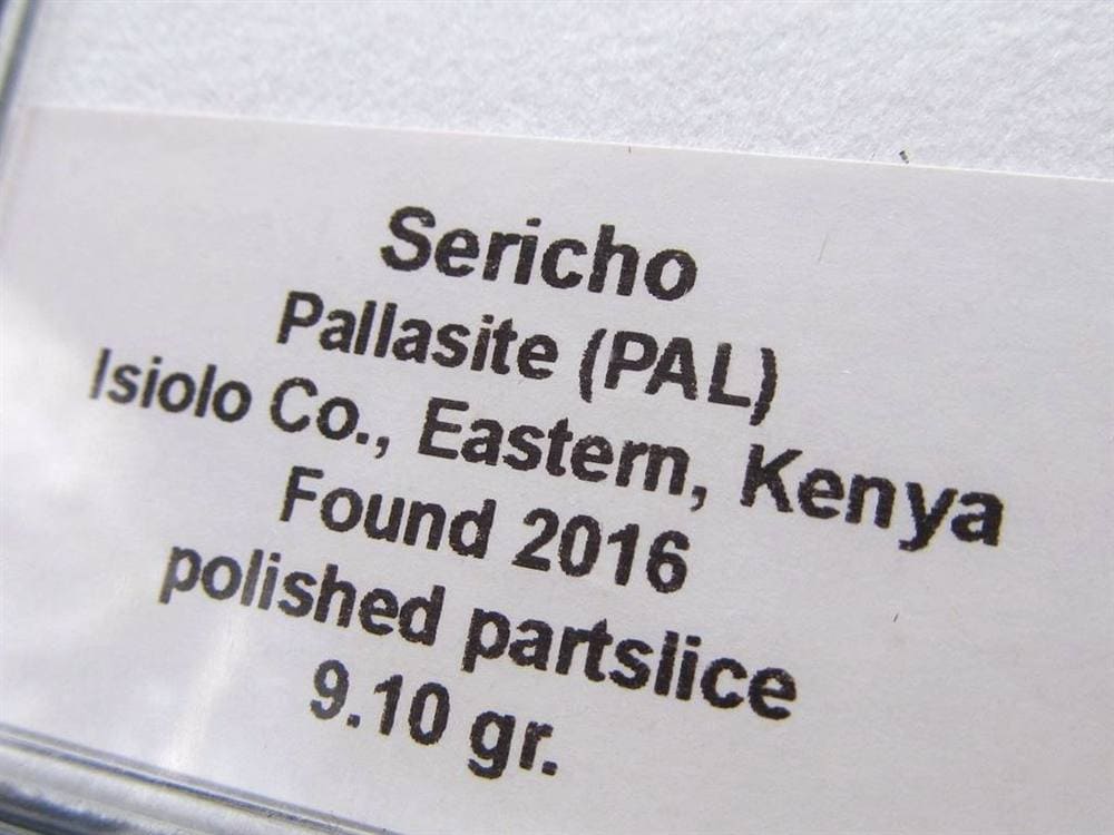 セリコ隕石 パラサイト隕石 プレート SERICHO 石鉄隕石