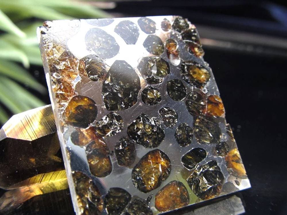 セリコ隕石 パラサイト隕石 プレート SERICHO 石鉄隕石