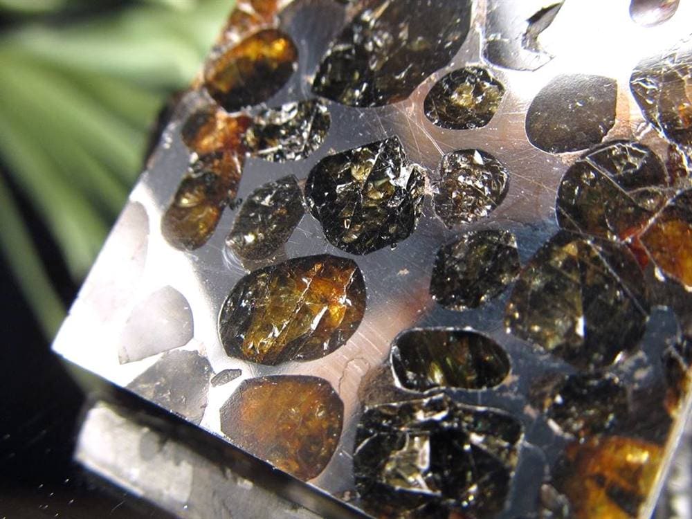 セリコ隕石 パラサイト隕石 プレート SERICHO 石鉄隕石