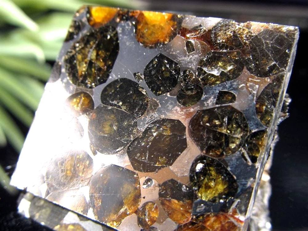 セリコ隕石 パラサイト隕石 プレート SERICHO 石鉄隕石