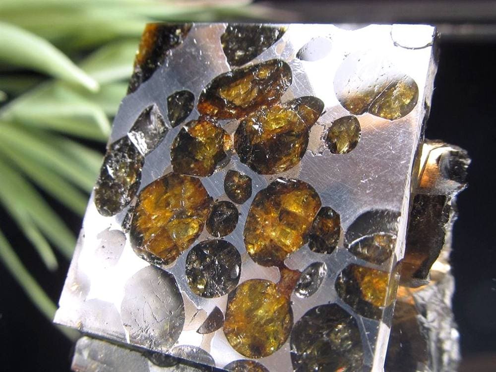 セリコ隕石 パラサイト隕石 プレート SERICHO 石鉄隕石