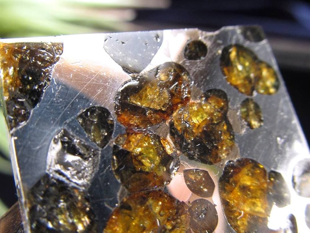 セリコ隕石 パラサイト隕石 プレート SERICHO 石鉄隕石