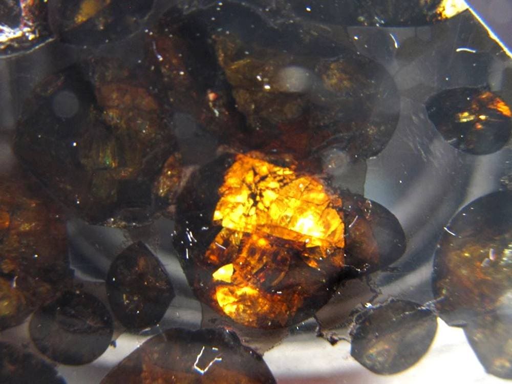 セリコ隕石 パラサイト隕石 プレート SERICHO 石鉄隕石