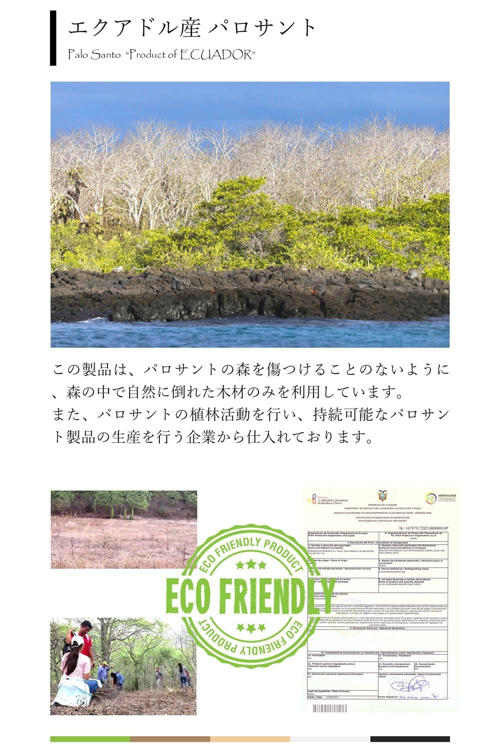 エクアドル産 パロサント ウッドビーズ ブレスレット