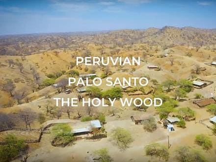 ペルー産パロサントブレスレット PaloSanto ビーズ
