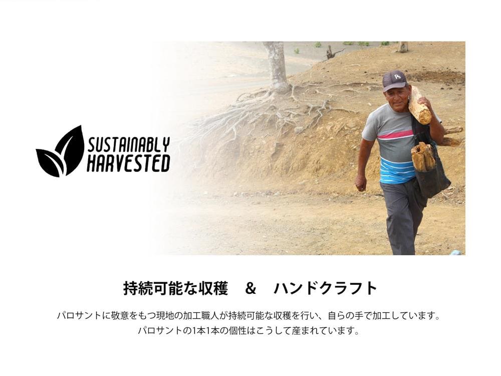 ペルー産パロサントログスホーリーウッド