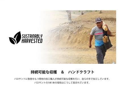 ペルー産パロサントブレスレット PaloSanto ビーズ