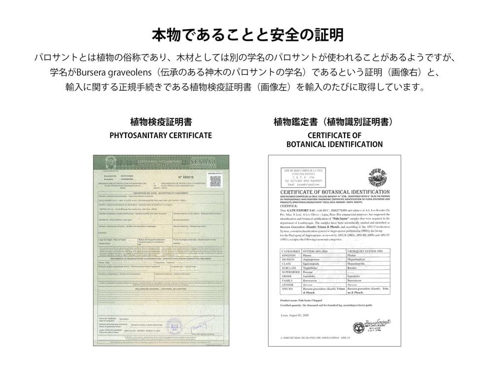 ペルー産パロサントログスホーリーウッド