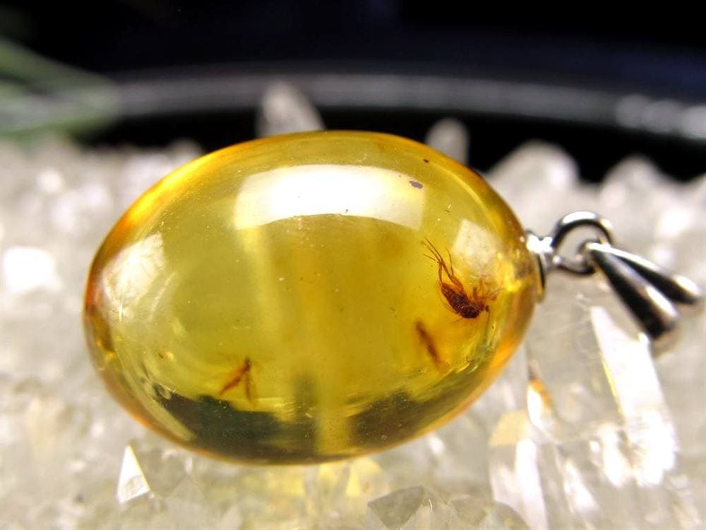 虫入り バルティックアンバー 琥珀 ペンダント アクセサリー