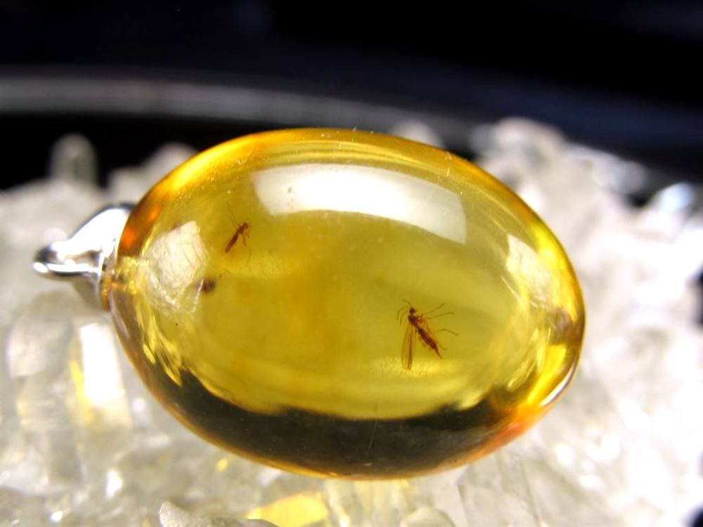 虫入り バルティックアンバー 琥珀 ペンダント アクセサリー