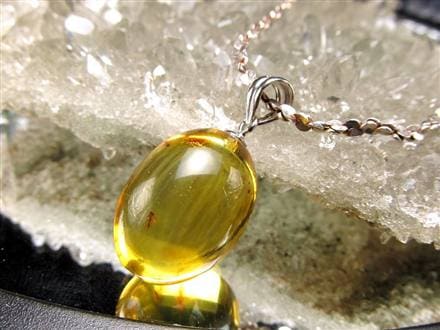 虫入り バルティックアンバー 琥珀 ペンダント アクセサリー