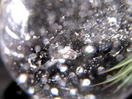 マニハール 丸玉 ウォーターバブル ヒマラヤ山脈 水晶 スフィア