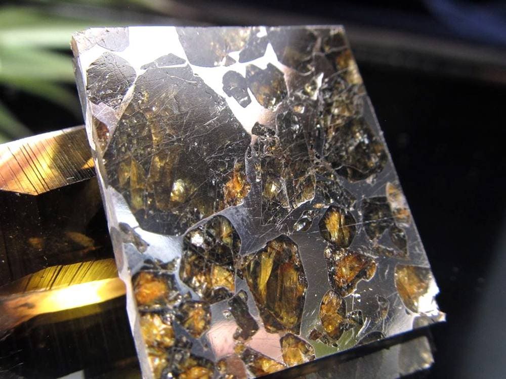 セイムチャン隕石 パラサイト隕石 プレート Seymchan 石鉄隕石