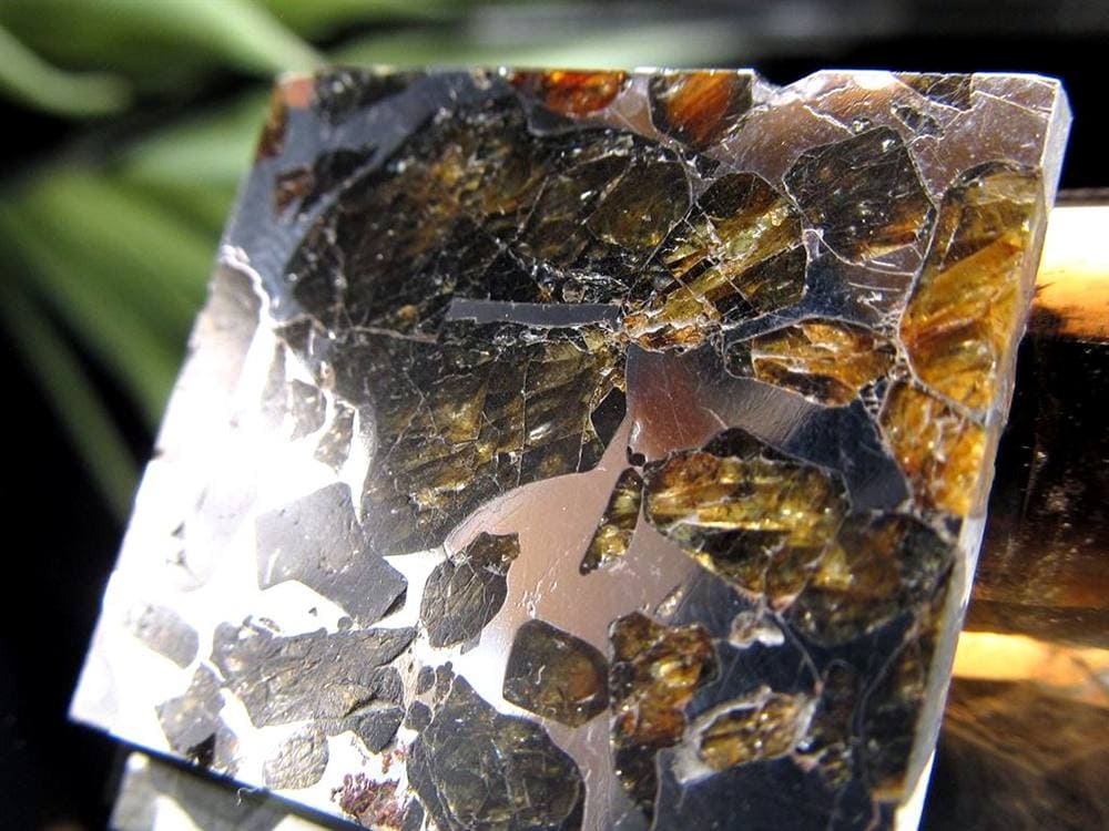 セイムチャン隕石 パラサイト隕石 プレート Seymchan 石鉄隕石