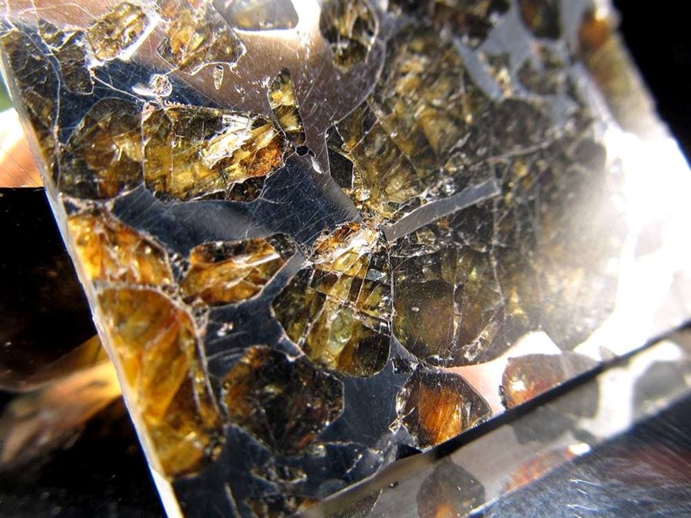 セイムチャン隕石 パラサイト隕石 プレート Seymchan 石鉄隕石