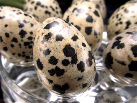 ダルメシアン ジャスパー 碧石 エッグ 置物 たまご 卵 egg