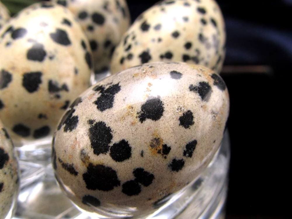 ダルメシアン ジャスパー 碧石 エッグ 置物 たまご 卵 egg