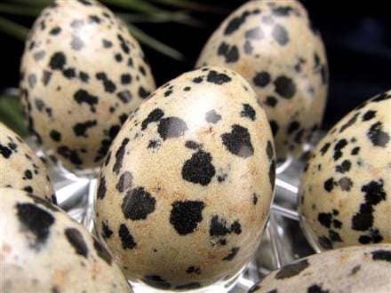 ダルメシアン ジャスパー 碧石 エッグ 置物 たまご 卵 egg