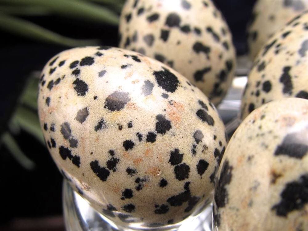 ダルメシアン ジャスパー 碧石 エッグ 置物 たまご 卵 egg