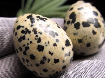 ダルメシアン ジャスパー 碧石 エッグ 置物 たまご 卵 egg