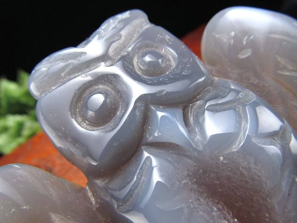 アゲートフクロウ