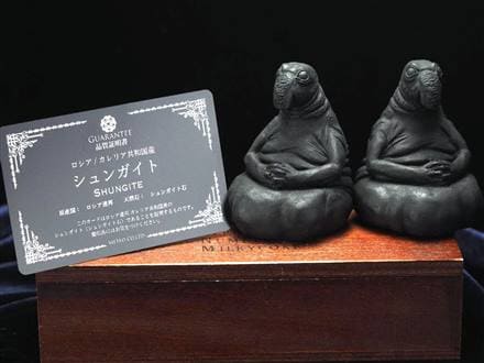 シュンガイト シュンガ石 天然フラーレン ポチェクン 待ってる人