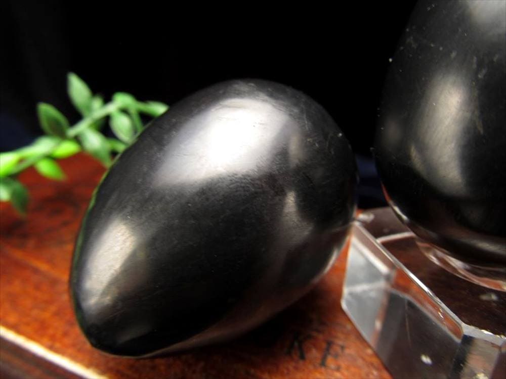 シュンガイトエッグ