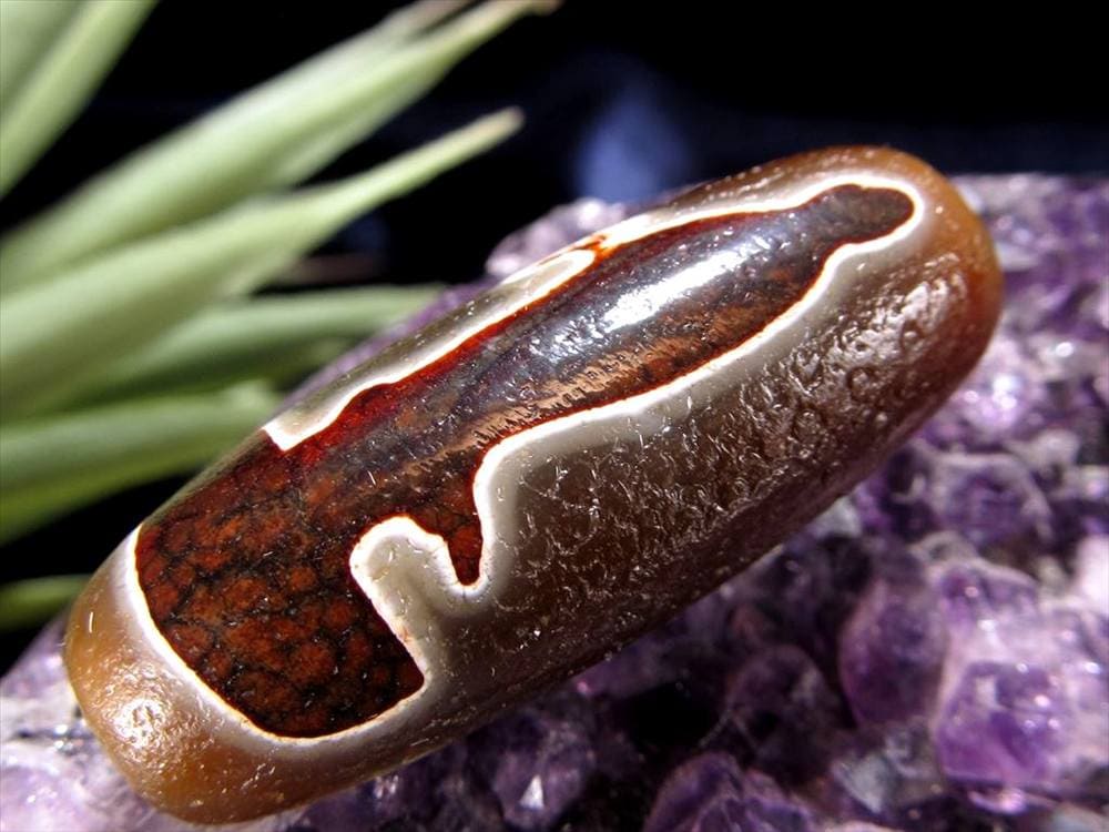 天珠,馬蹄痕天珠,至純天珠,瑪瑙,黒鳶赤紋